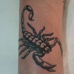 Скорпион  на предплечье (на руке)