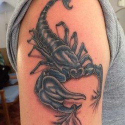 Скорпион цепляет кожу на плече