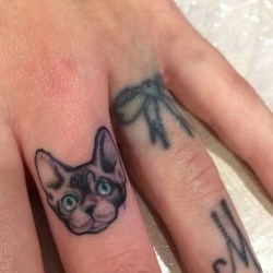 Кот сфинкс и бантик  на пальцах (на руке)