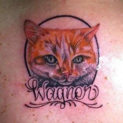 Портрет кошки на память имя wagner на спине