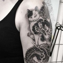 Кошка с драконом  на плече (на руке)