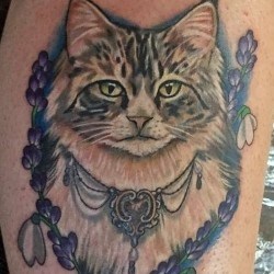 Кошка с цветами  на голени (на ноге)