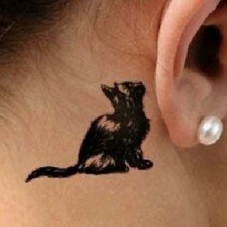 Кот за ухом на голове