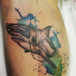 Акула из воды  на голени (на ноге)
