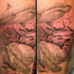 Акула с черепахой под водой  на плече (на руке)