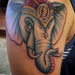 Индийский слон  на плече (на руке)