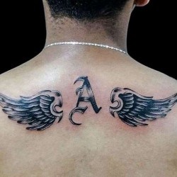 Крылья и буква А на спине