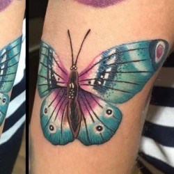 Большая красивая бабочка  на плече (на руке)