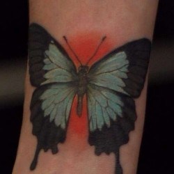 Бабочка на фоне красного солнца  на предплечье (на руке)