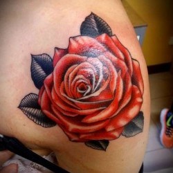Большая красная роза  на плече (на руке)