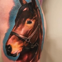 Портрет лошади на голени