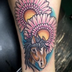 Лошадь с двумя цветами  на голени (на ноге)