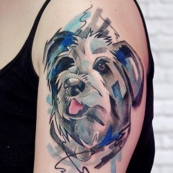 Собака  на плече (на руке)
