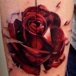 Красная роза из осколков  на голени (на ноге)