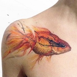 Золотая рыбка  на плече (на руке)