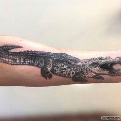 Крокодил с открытой пастью  на предплечье (на руке)