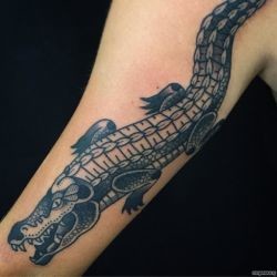 Крокодил чб  на плече (на руке)