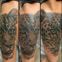 Леопард с голубыми глазами  на предплечье (на руке)