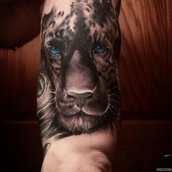 Леопард с синими глазами на плече