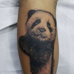Панда  на голени (на ноге)