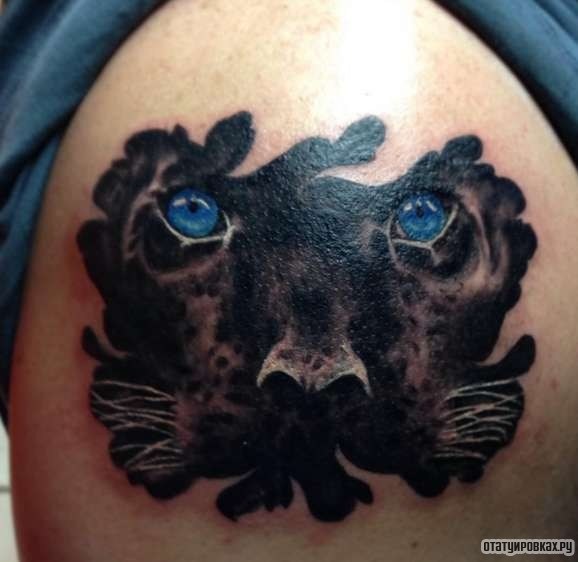 Фотография татуировки под названием «Лицо пантеры под кожей»