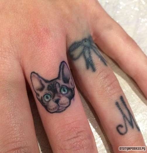 Фотография татуировки под названием «Кот сфинкс и бантик»