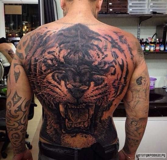 Фотография татуировки под названием «Огромный оскал тигра»