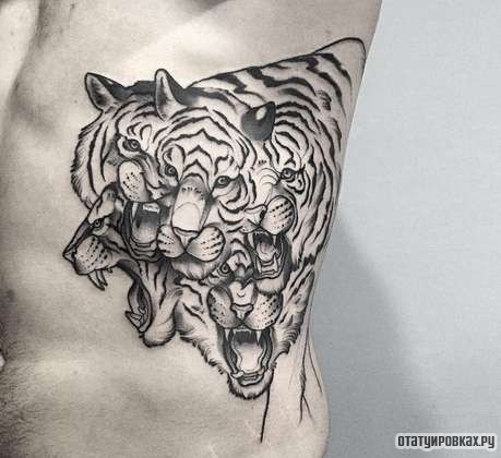 Фотография татуировки под названием «Пять тигров в одном»