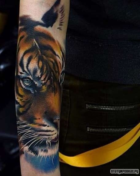 Фотография татуировки под названием «Красивый тигр»