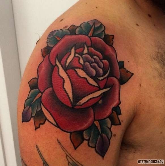 Фотография татуировки под названием «Типичная роза»
