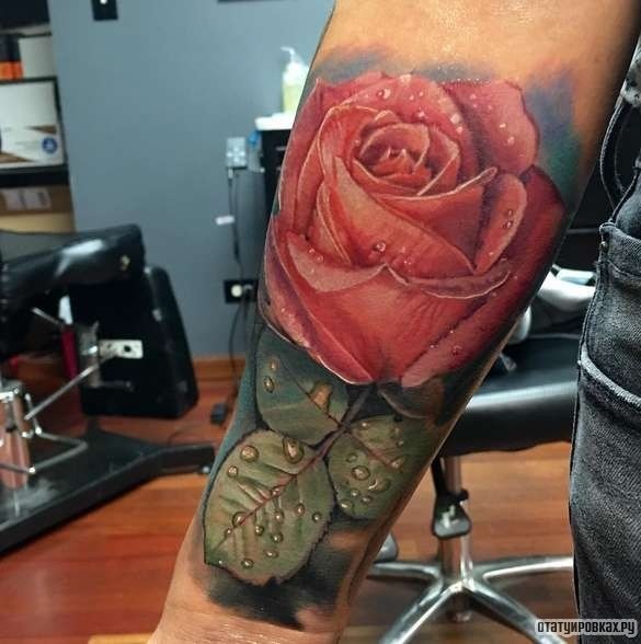 Фотография татуировки под названием «Розовая роза с каплями росы»