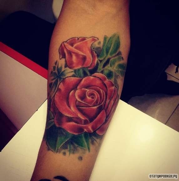 Фотография татуировки под названием «Две розочки с зелеными листьями»