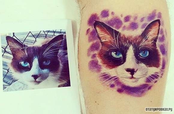 Фотография татуировки под названием «Кошка портрет»