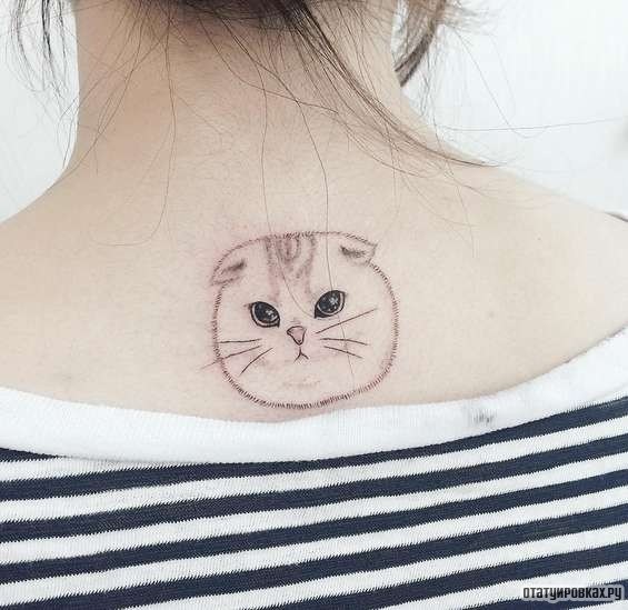 Фотография татуировки под названием «Мордочка кота»