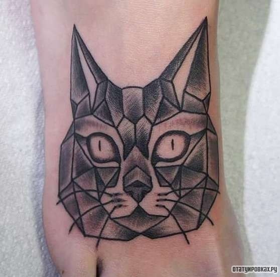 Фотография татуировки под названием «Морда кошки»