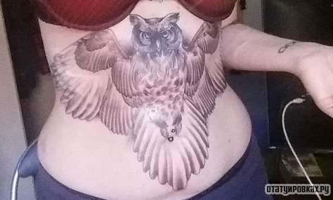 Фотография татуировки под названием «Сова с крыльями»