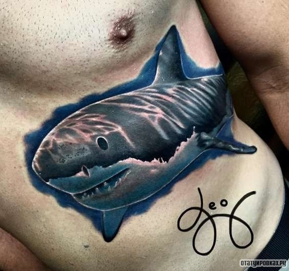 Фотография татуировки под названием «Большая акула»