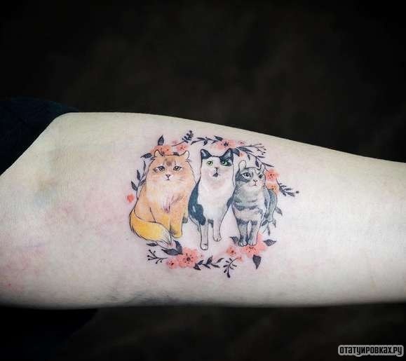 Фотография татуировки под названием «Три кота»