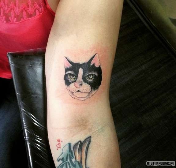 Фотография татуировки под названием «Кот с розовыми ушами»