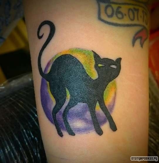 Фотография татуировки под названием «Кот на фоне луны»