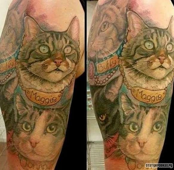 Фотография татуировки под названием «Два кота Maggi и Buffy»