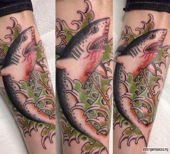 Фотография татуировки под названием «Акула убитая острогой»