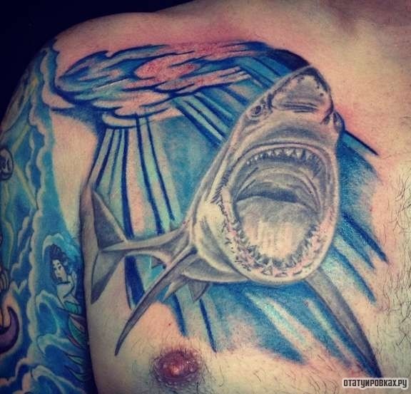 Фотография татуировки под названием «Акула под водой»