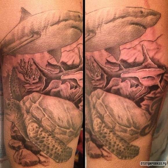 Фотография татуировки под названием «Акула с черепахой под водой»
