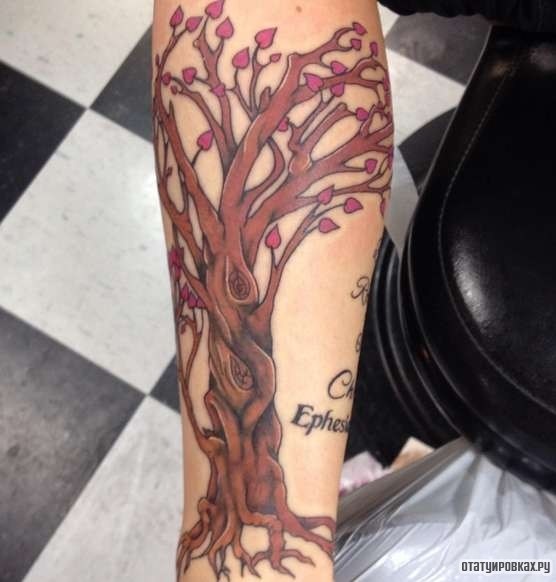 Фотография татуировки под названием «Коричневое дерево»