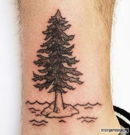 Фотография татуировки под названием «Дерево ель»