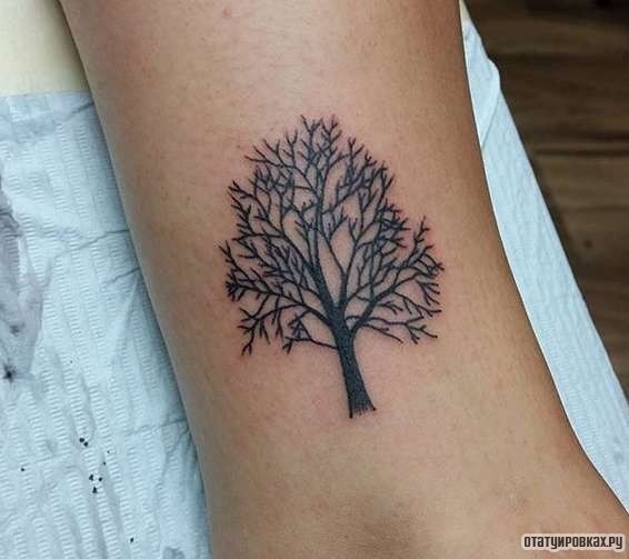 Фотография татуировки под названием «Дерево с ветками»