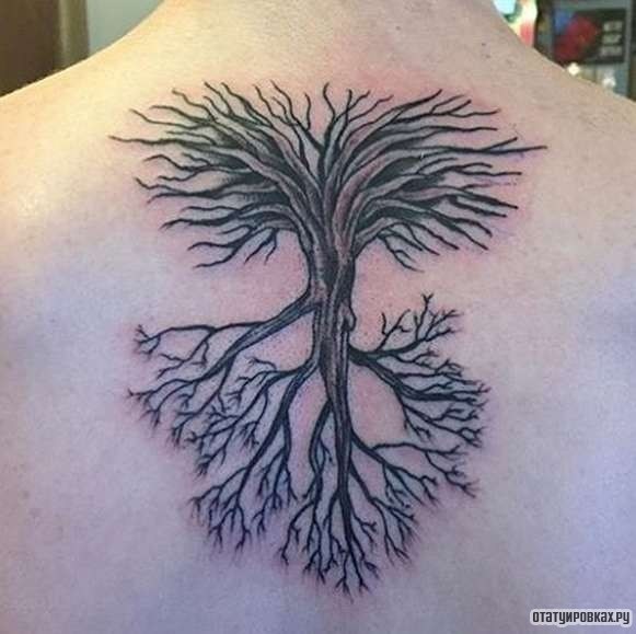 Фотография татуировки под названием «Дерево с двух сторон»