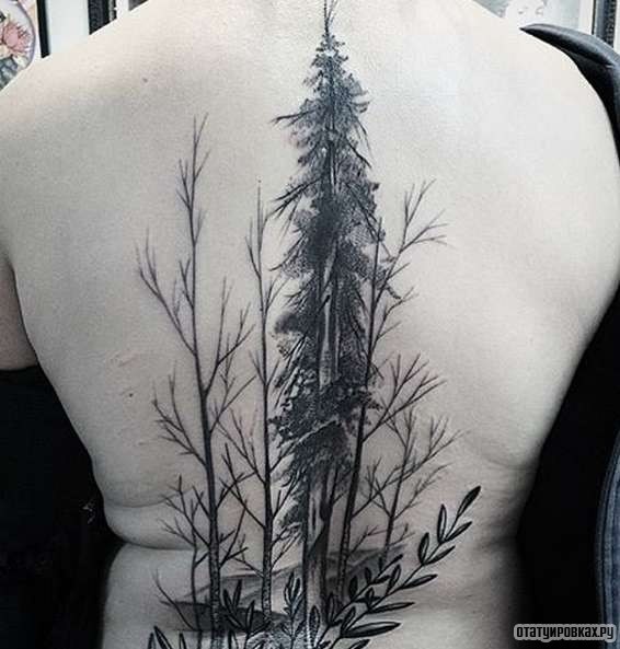 Фотография татуировки под названием «Деревья»
