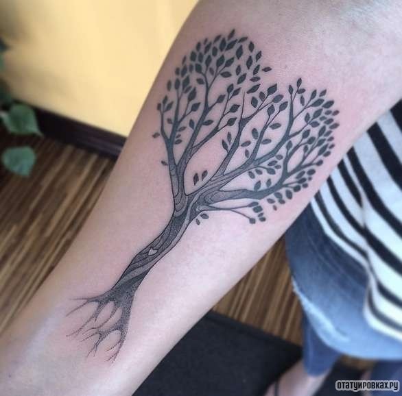 Фотография татуировки под названием «Дерево с корнями и листьями»